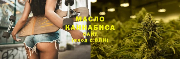 СК Алексин
