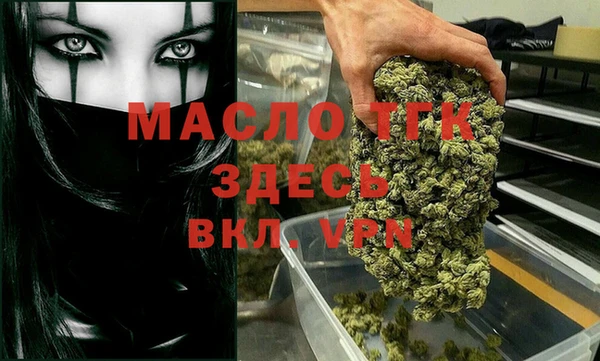 СК Алексин