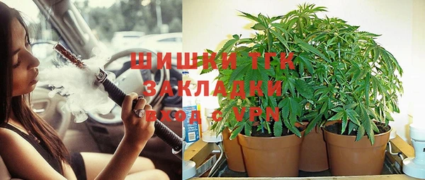 СК Алексин