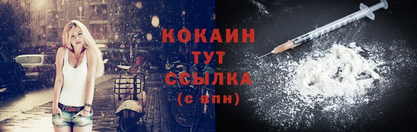СК Алексин