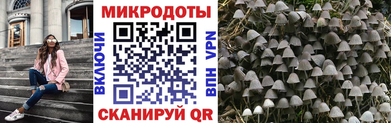 закладки Харабали Галлюциногенные грибы Cubensis