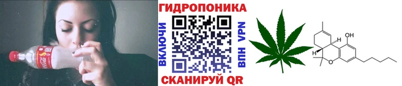 Бошки Шишки AK-47  Харабали 